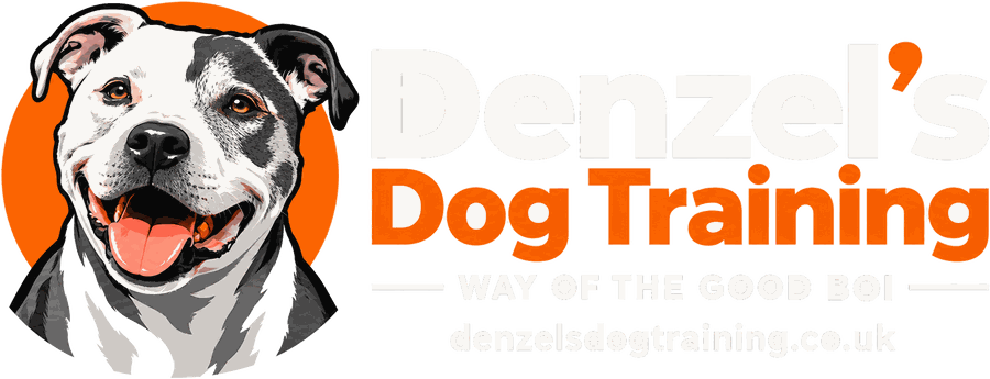 Denzel's Dog Training