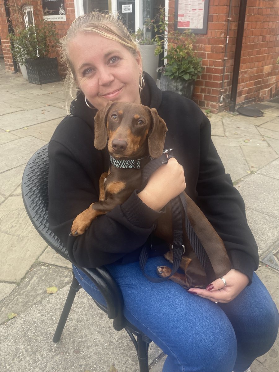 A client sitting outside a cafe with her relaxed dachshund