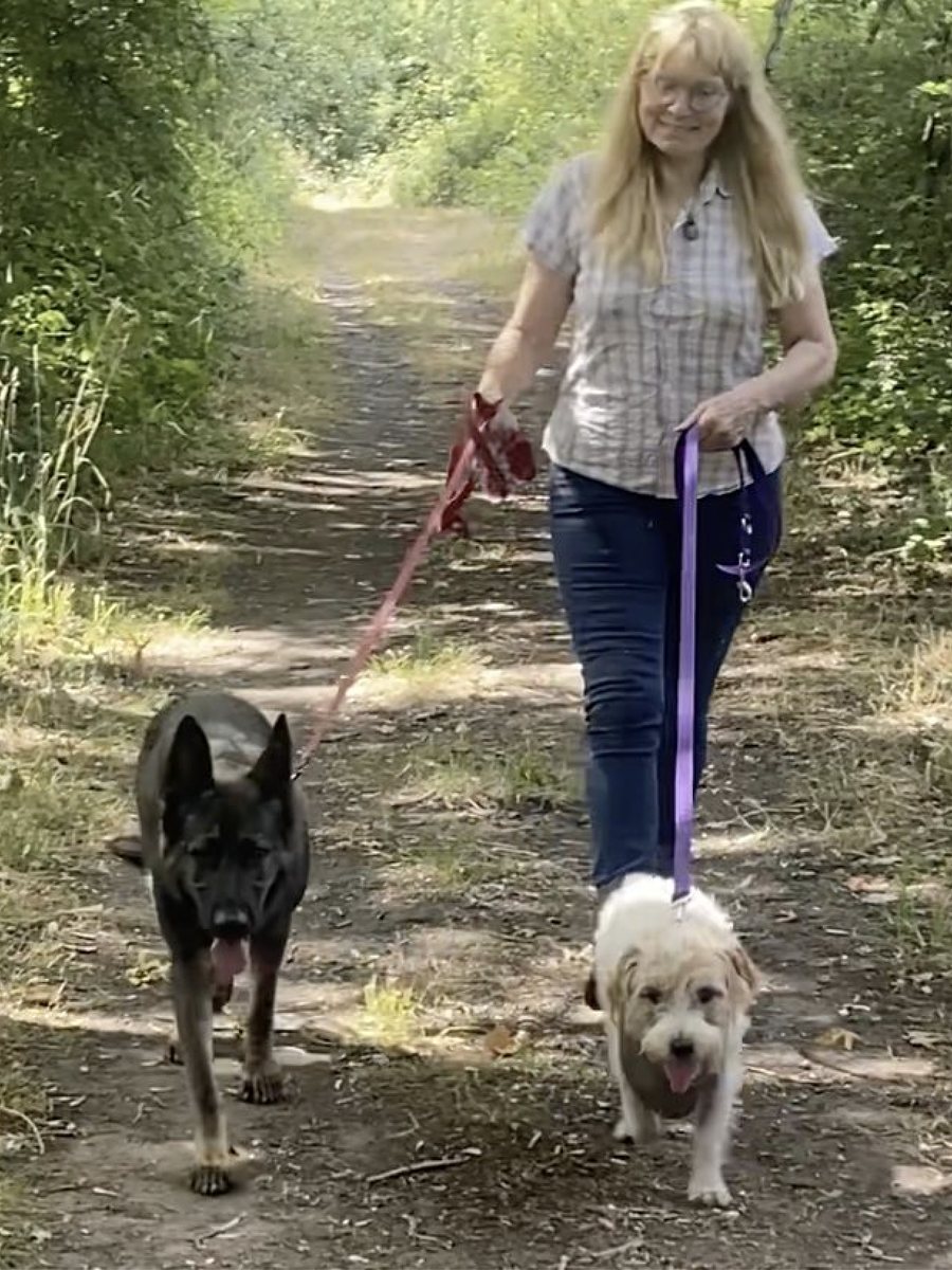 A client confidently walking two dogs on lead together